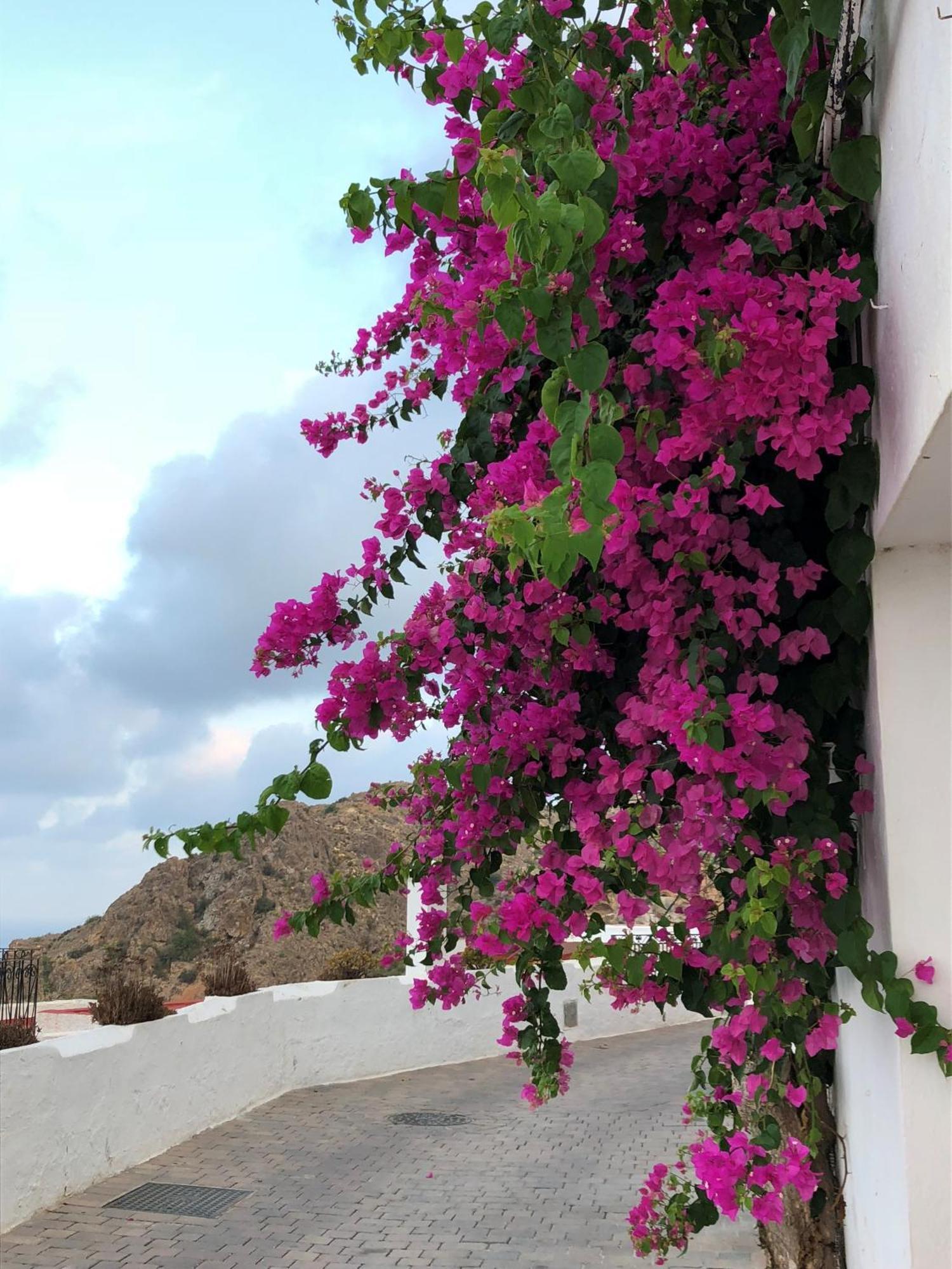 El Mirador De Mojacar Villa Exterior photo